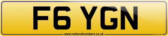 F6 YGN