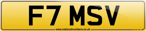 F7 MSV