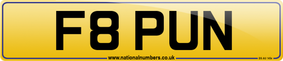 F8 PUN