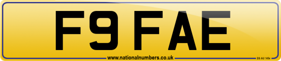 F9 FAE