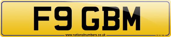 F9 GBM