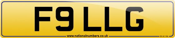 F9 LLG