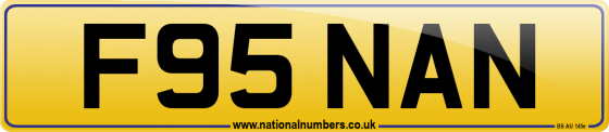 F95 NAN
