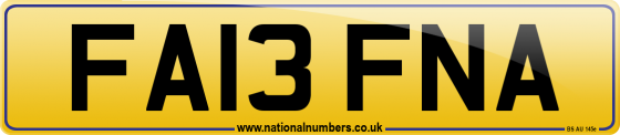 FA13 FNA