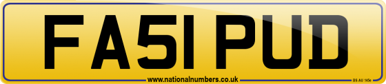 FA51 PUD