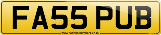 FA55 PUB
