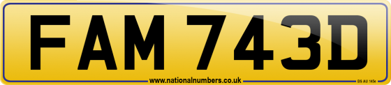 FAM 743D