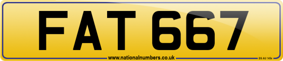 FAT 667