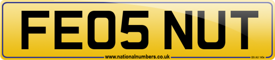 FE05 NUT