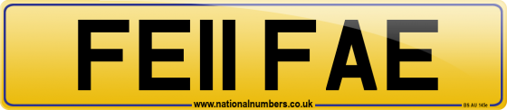 FE11 FAE