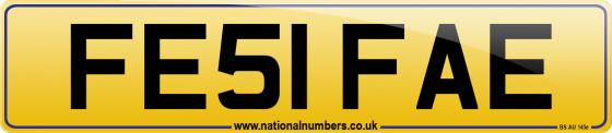 FE51 FAE