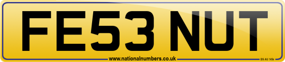 FE53 NUT