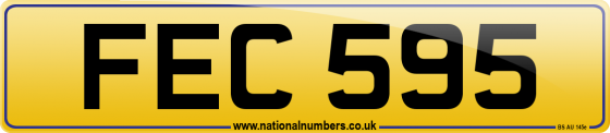 FEC 595