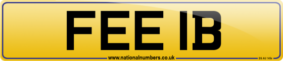 FEE 1B