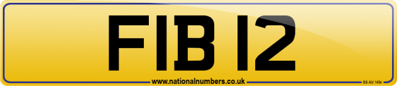 FIB 12