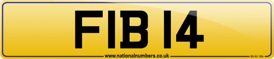 FIB 14