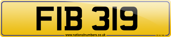 FIB 319