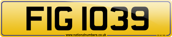 FIG 1039