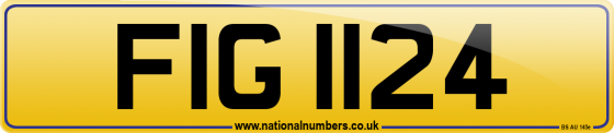 FIG 1124