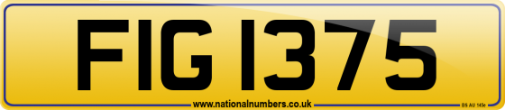 FIG 1375