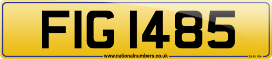 FIG 1485