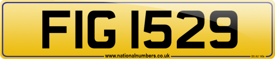 FIG 1529