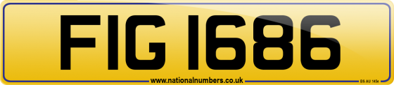 FIG 1686