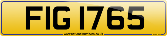FIG 1765
