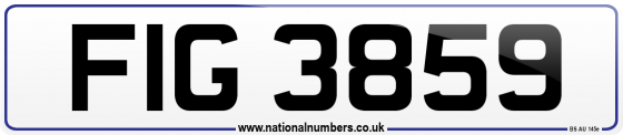 FIG 3859
