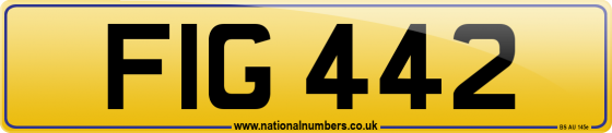 FIG 442