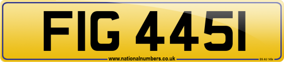 FIG 4451