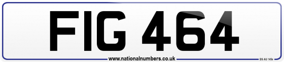 FIG 464