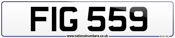 FIG 559