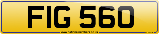 FIG 560