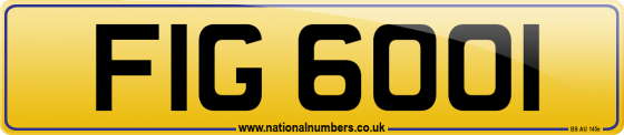 FIG 6001