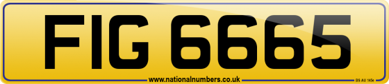 FIG 6665