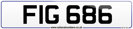 FIG 686