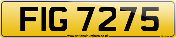 FIG 7275