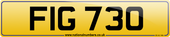 FIG 730