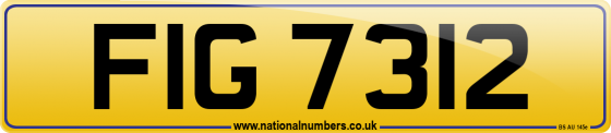 FIG 7312