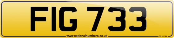 FIG 733