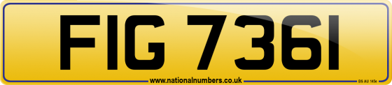 FIG 7361