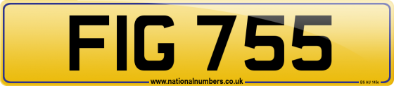 FIG 755