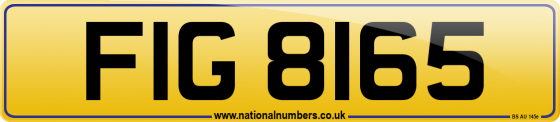 FIG 8165