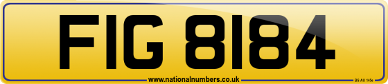FIG 8184