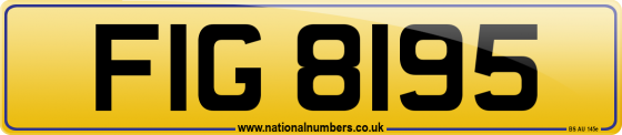 FIG 8195