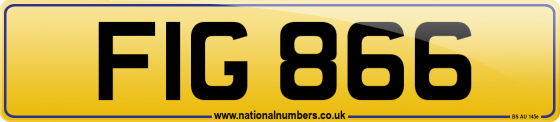 FIG 866