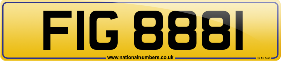 FIG 8881