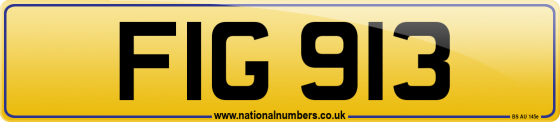 FIG 913