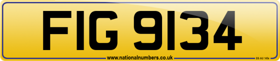 FIG 9134
